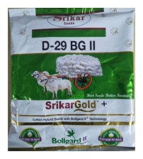 Cotton Srikar Gold D-29 BG II